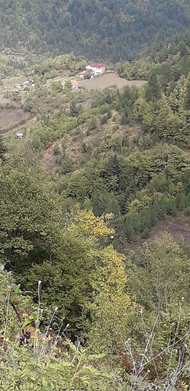 Ulus Aktaş Köyü Resimleri 3