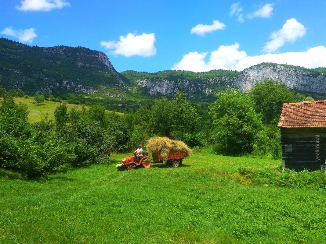 Ulus Alıçlı Köyü Resimleri 8