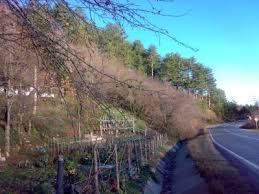 Safranbolu İnceçay Köyü Resimleri 1