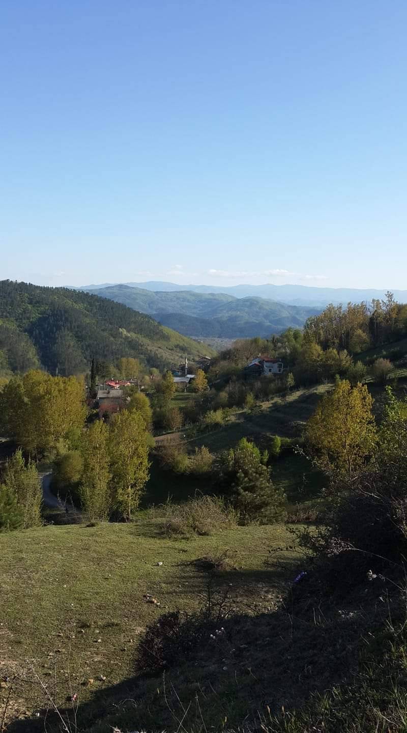 Ulus Aşağıköy Köyü Resimleri 5