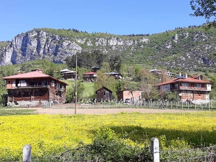 Ulus Aşağıçamlı Köyü Resimleri 3