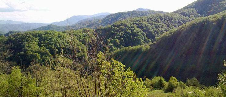 Ulus Aşağıdere Köyü Resimleri 1