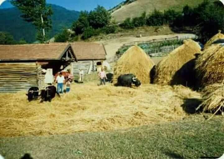 Ulus Buğurlar Köyü Resimleri 2