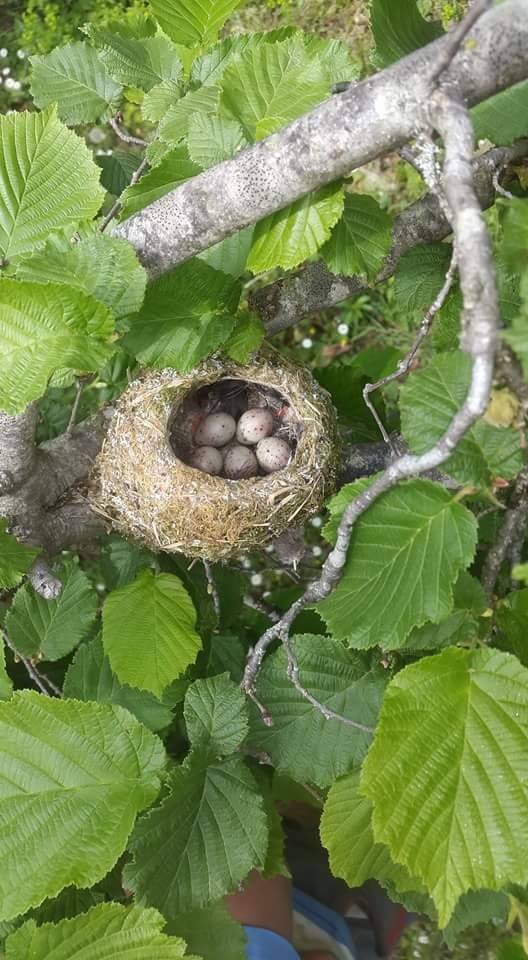 Kocaali Aktaş Köyü Resimleri 2