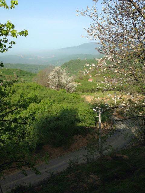 Kocaali Aktaş Köyü Resimleri 3