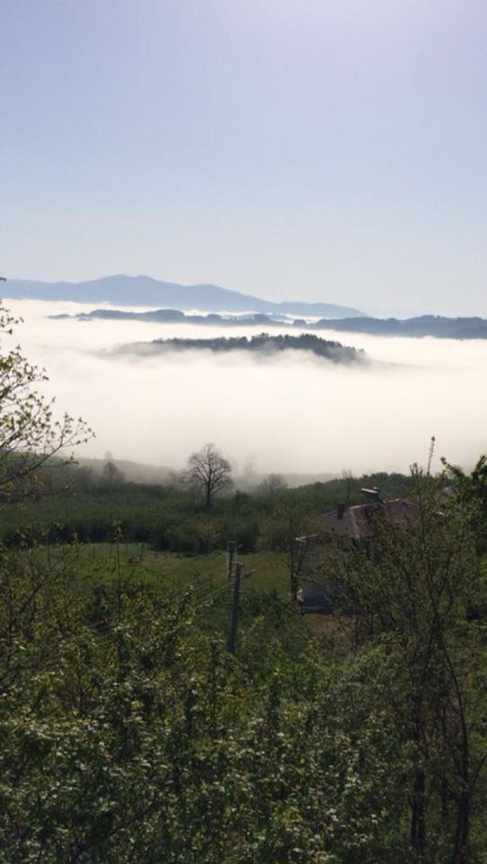 Kocaali Aktaş Köyü Resimleri 6