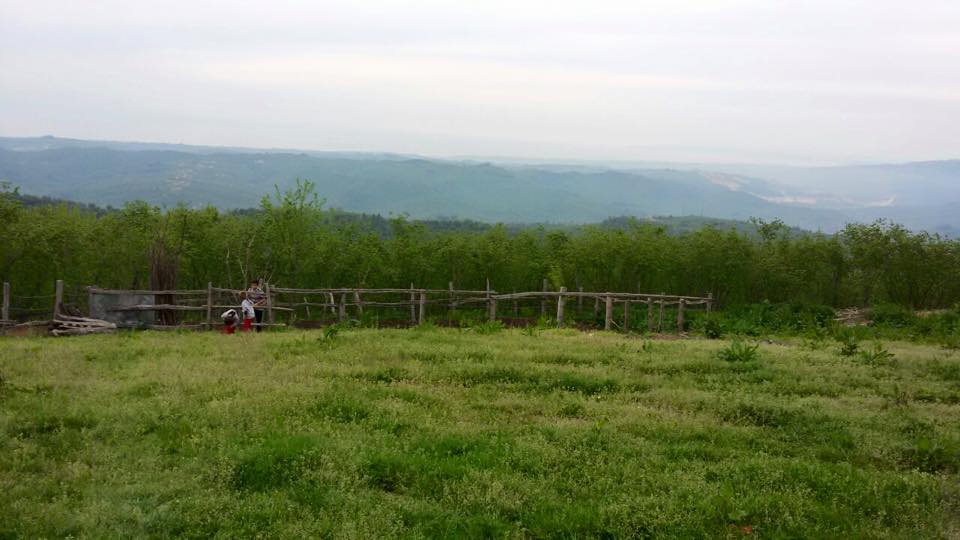 Kocaali Aktaş Köyü Resimleri 7