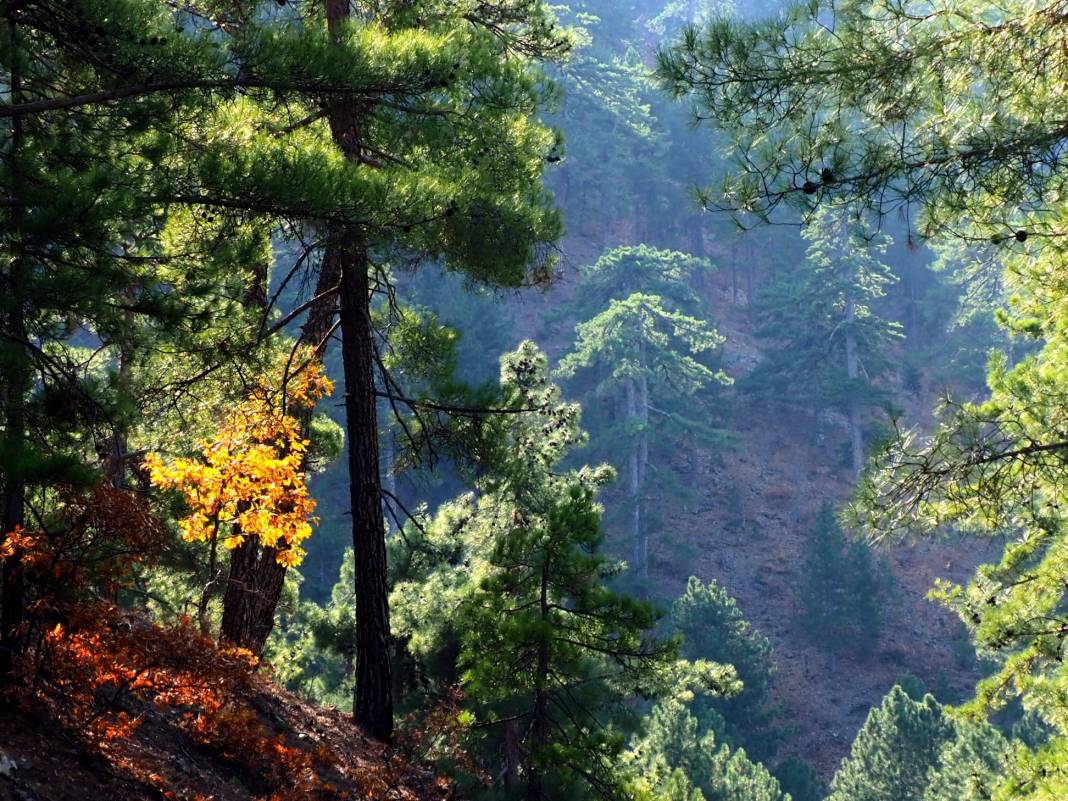 Aladağ Küp Köyü Resimleri 9