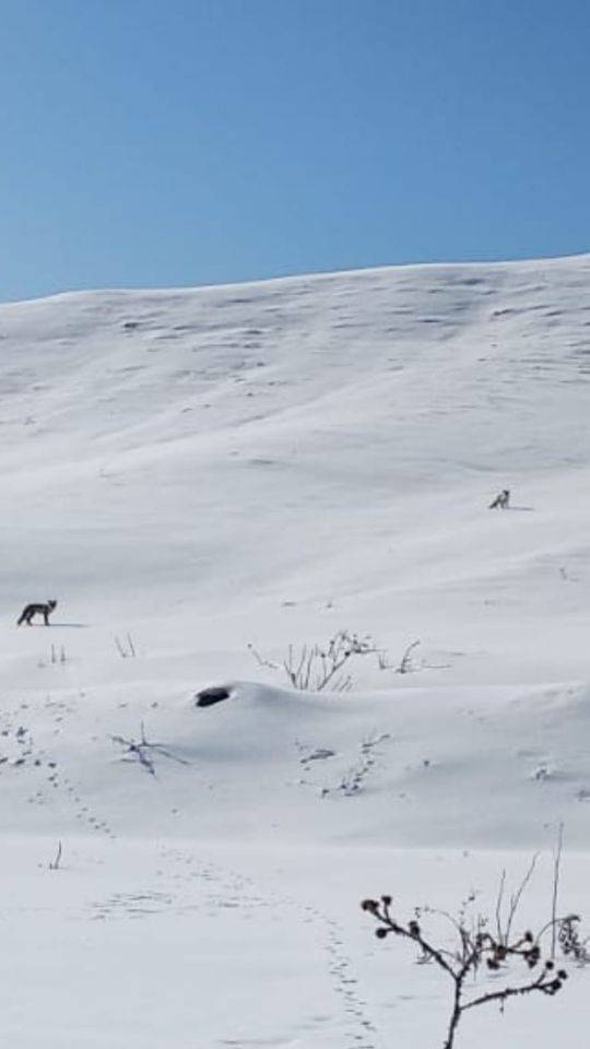 Başkale Böğrüpek Köyü Resimleri 1