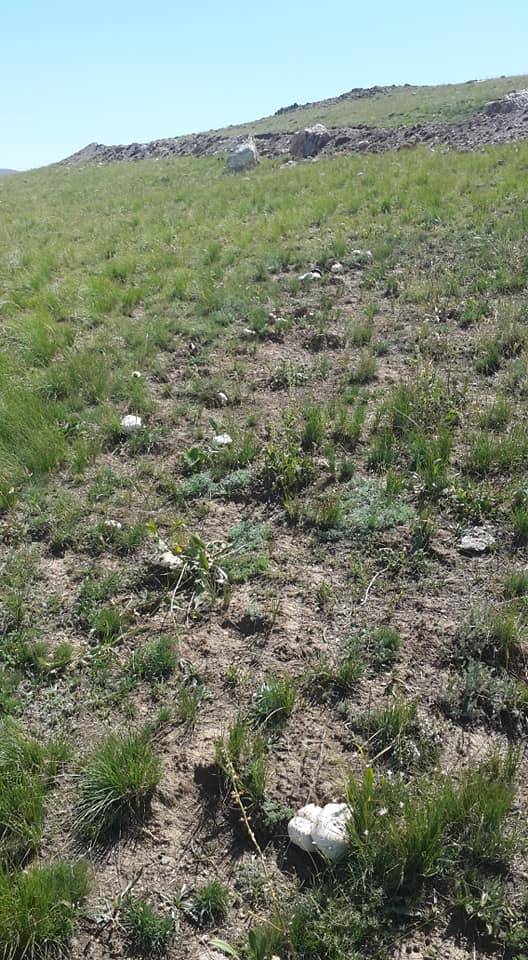 Başkale Böğrüpek Köyü Resimleri 2