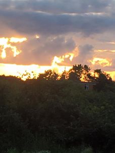 Kocaali Alandere Köyü Resimleri 3