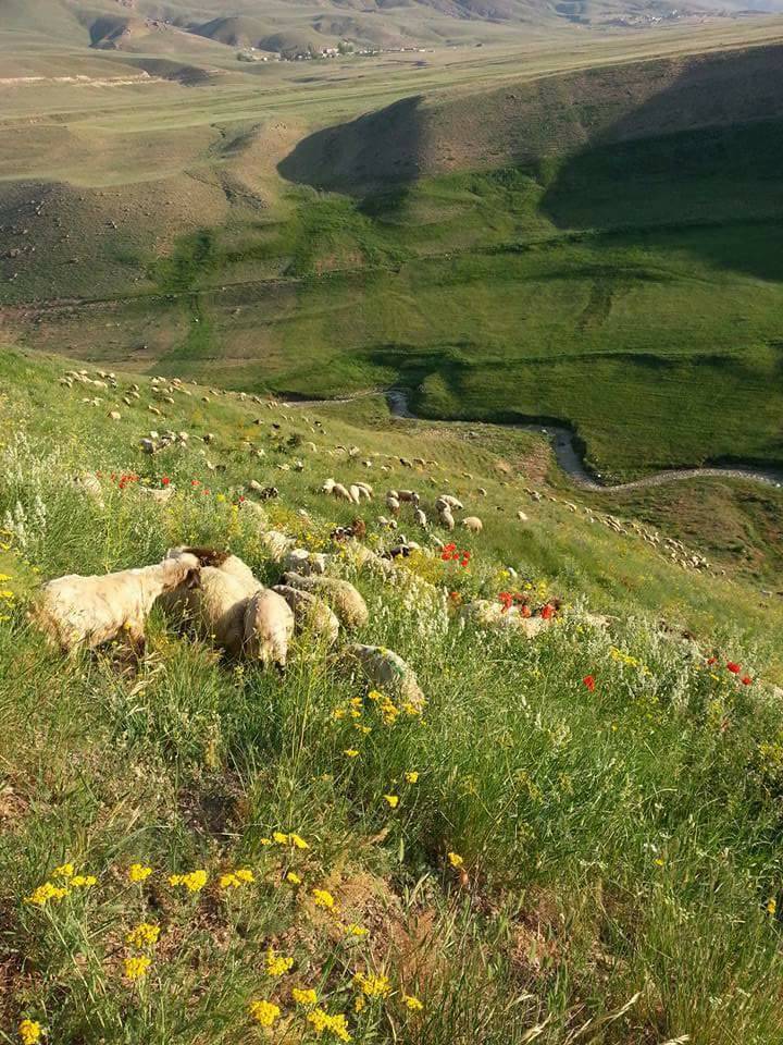 Başkale Erkonağı Köyü Resimleri 1