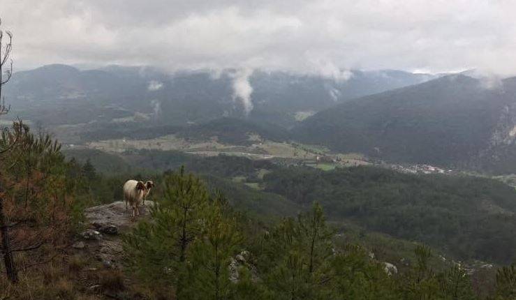 Aladağ Madenli Köyü Resimleri 2