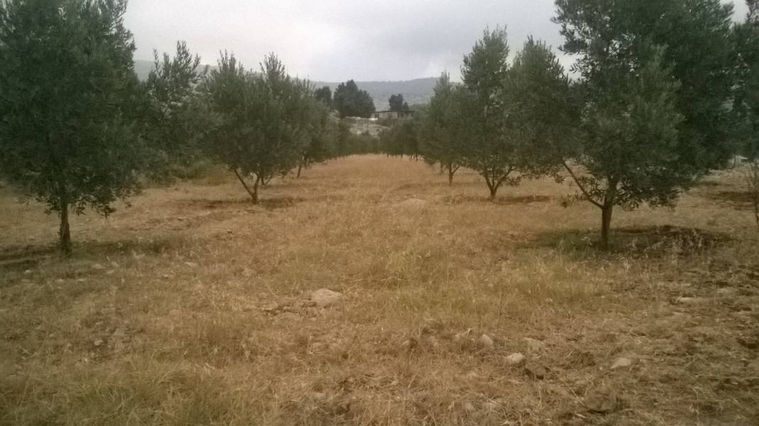 Aladağ Mazılık Köyü Resimleri 8