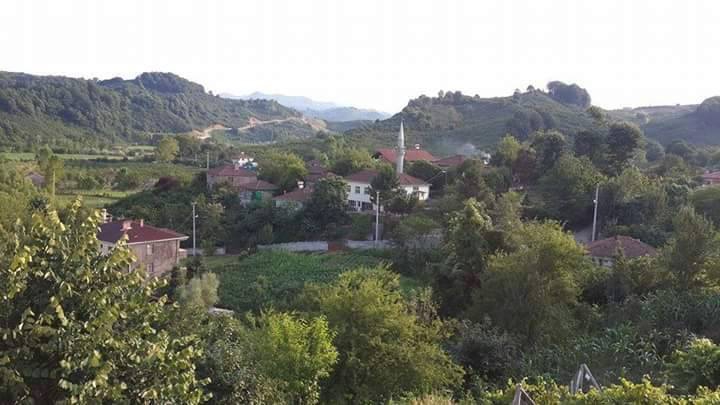 Kocaali Aydoğan Köyü Resimleri 5