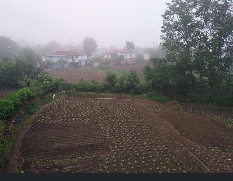 Kofçaz Kocayazı Köyü Resimleri 4