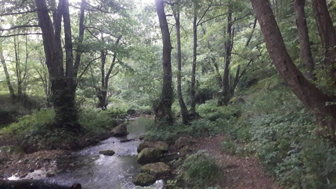 Kofçaz Kocayazı Köyü Resimleri 9