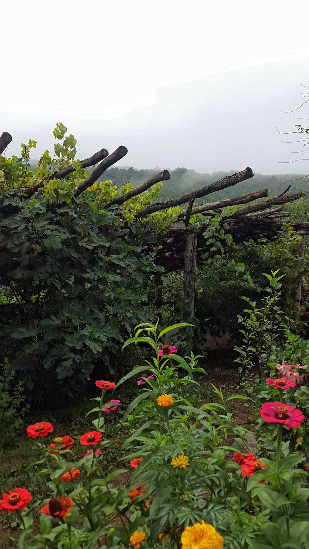 Kofçaz Kula Köyü Resimleri 13