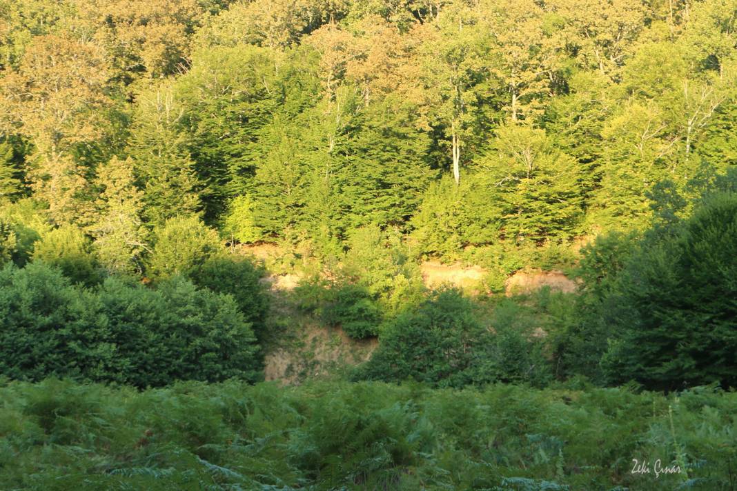 Kofçaz Kula Köyü Resimleri 15