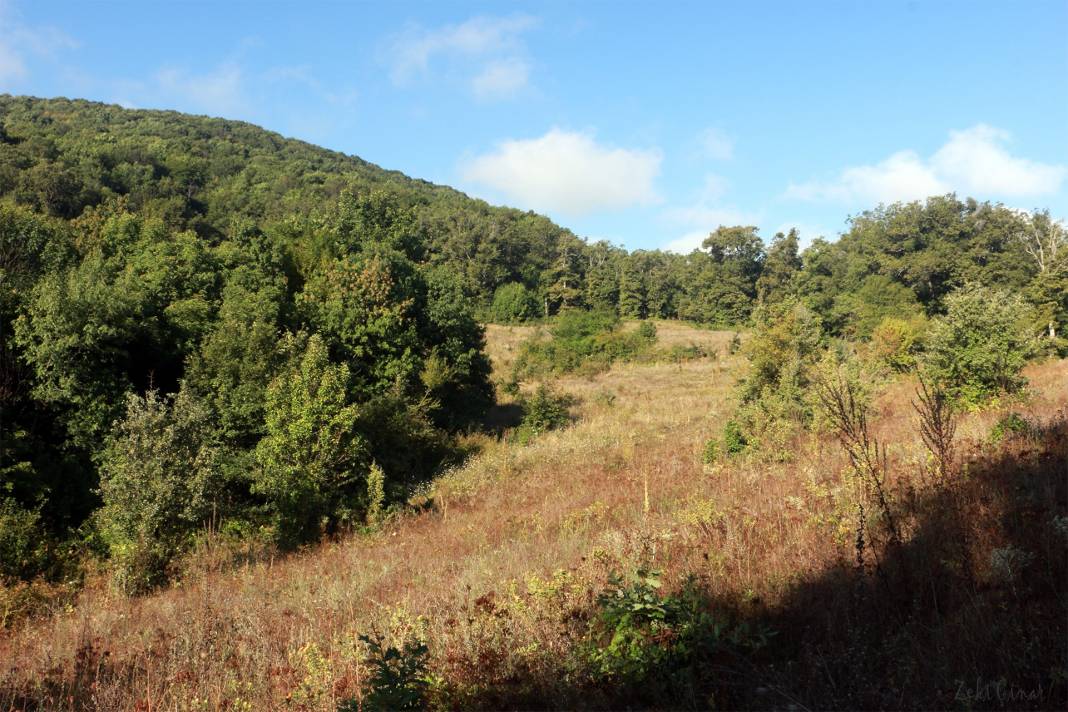 Kofçaz Kula Köyü Resimleri 18