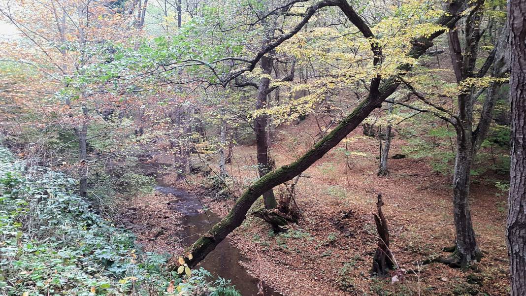 Kofçaz Kula Köyü Resimleri 19