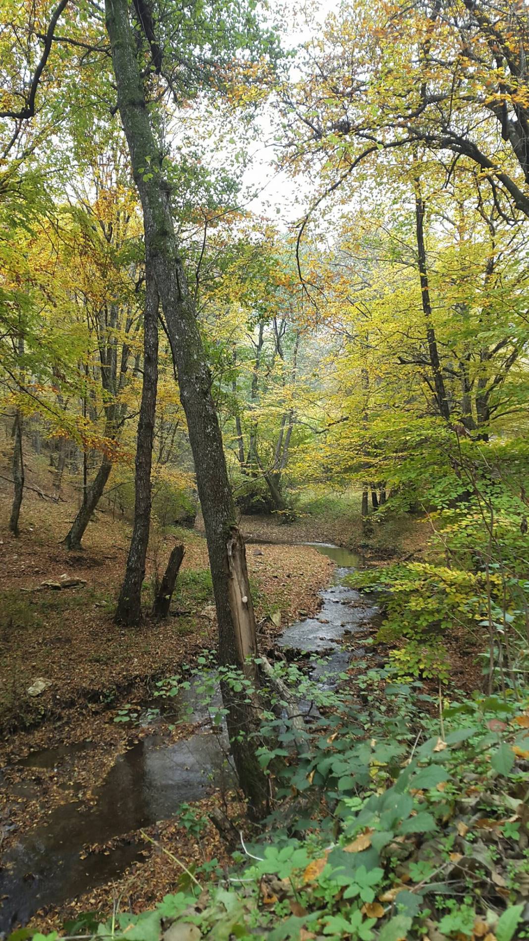Kofçaz Kula Köyü Resimleri 20