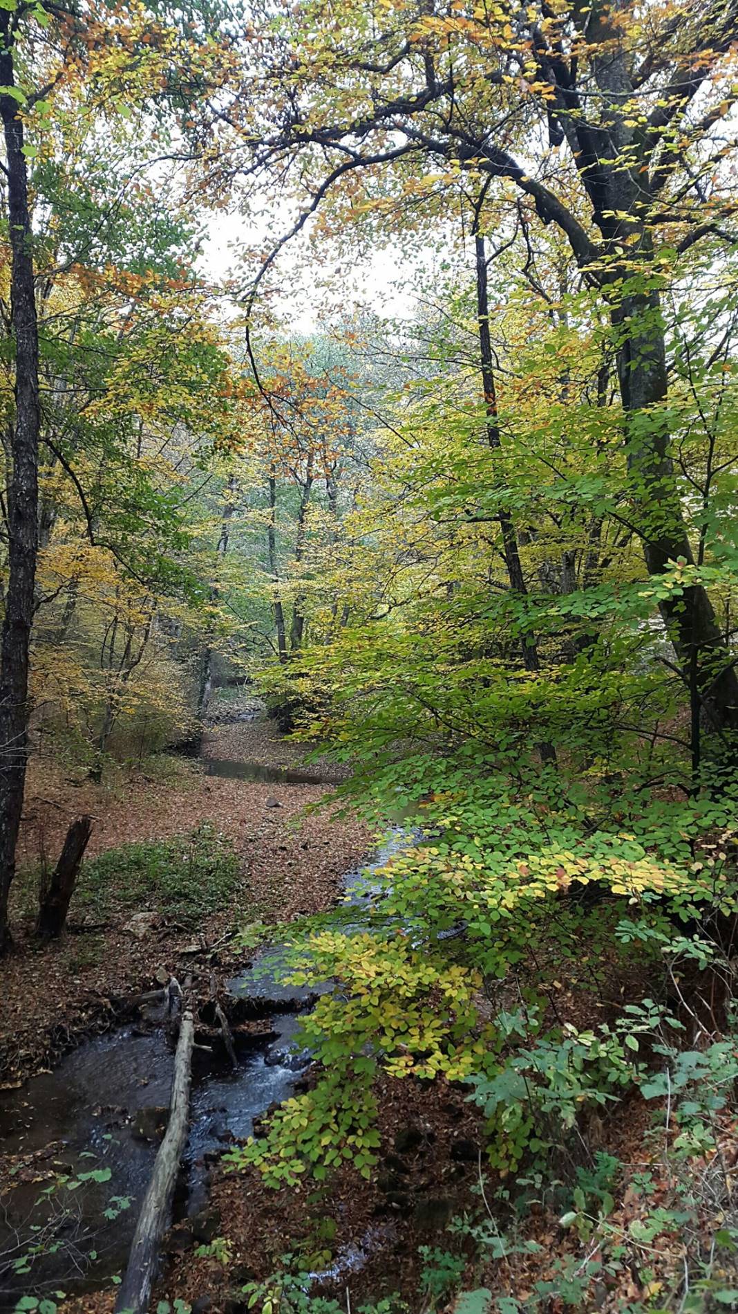 Kofçaz Kula Köyü Resimleri 21