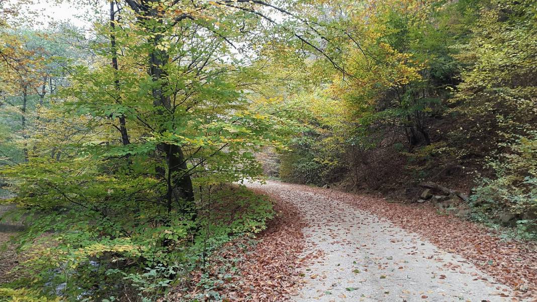 Kofçaz Kula Köyü Resimleri 22