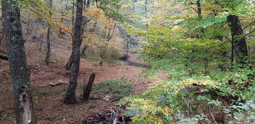 Kofçaz Kula Köyü Resimleri 23