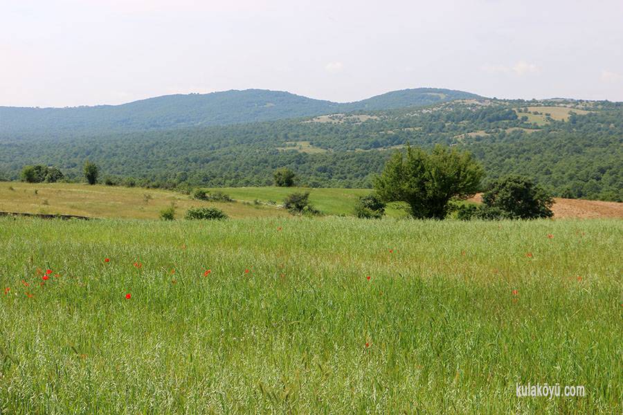 Kofçaz Kula Köyü Resimleri 3