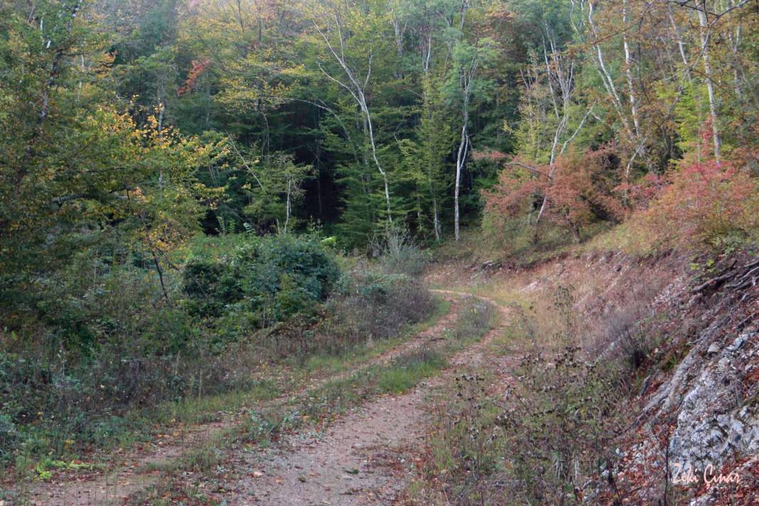 Kofçaz Kula Köyü Resimleri 7