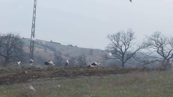 Kofçaz Malkoçlar Köyü Resimleri 2
