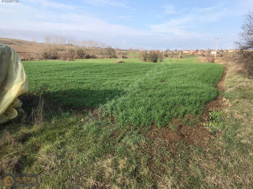 Kofçaz Malkoçlar Köyü Resimleri 3