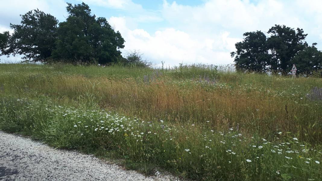 Kofçaz Taştepe Köyü Resimleri 4