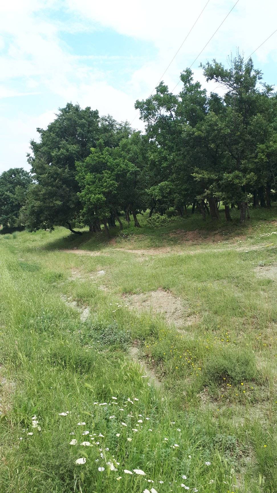 Kofçaz Taştepe Köyü Resimleri 6