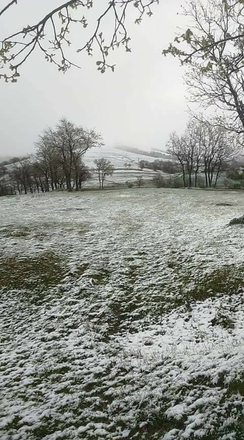 Kofçaz Terzidere Köyü Resimleri 2