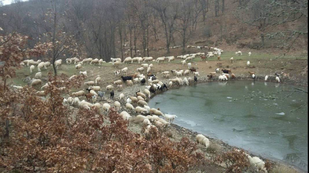 Kofçaz Terzidere Köyü Resimleri 3