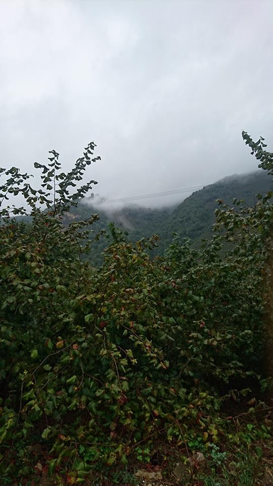 Kocaali Beyler Köyü Resimleri 3