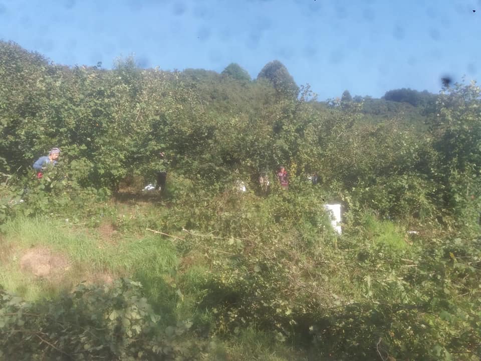 Kocaali Beyler Köyü Resimleri 4