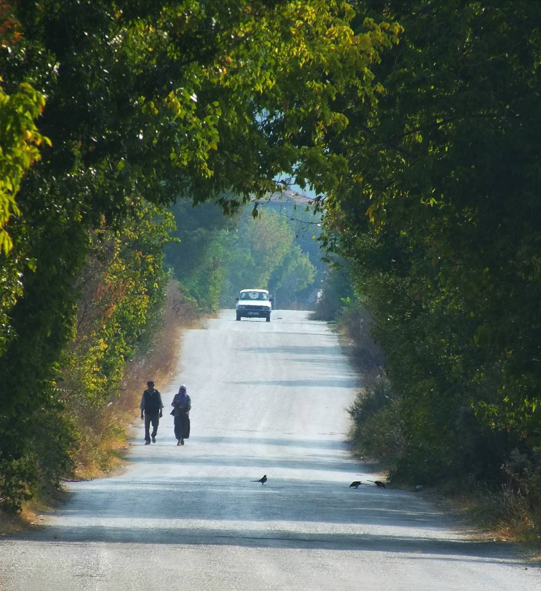 Pehlivanköy Akarca Köyü Resimleri 11