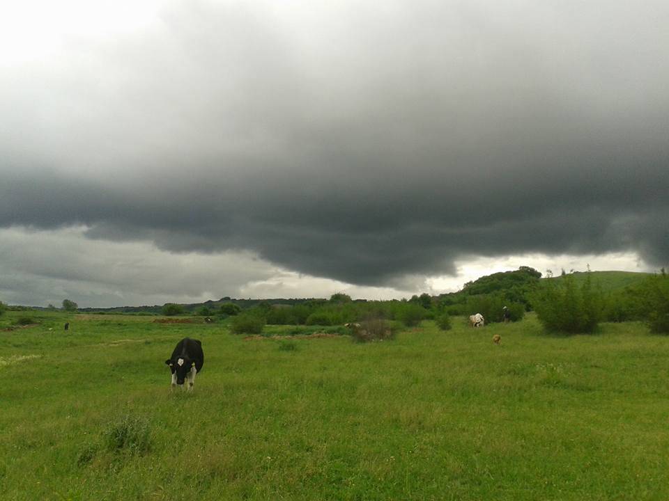 Pehlivanköy Akarca Köyü Resimleri 3