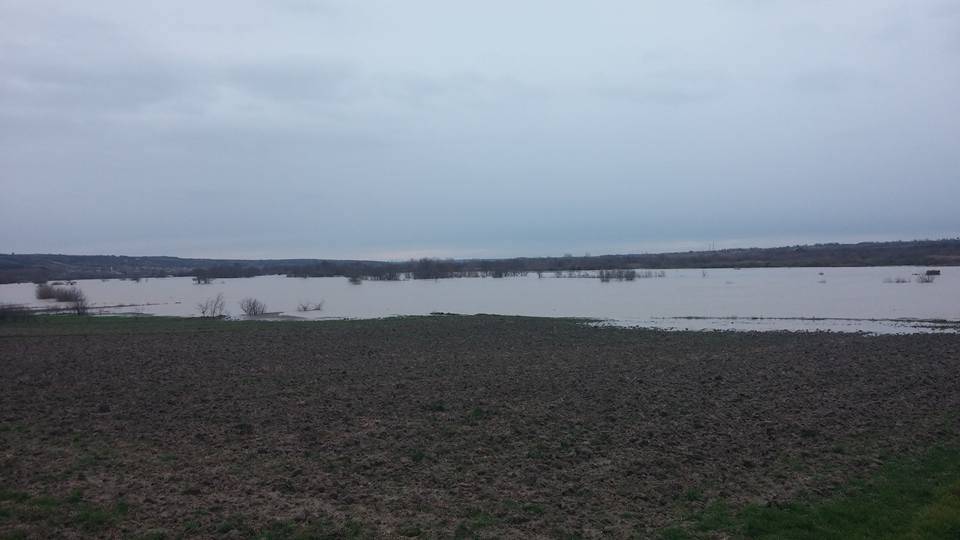 Pehlivanköy Akarca Köyü Resimleri 4