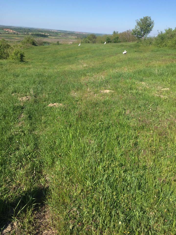 Pehlivanköy Akarca Köyü Resimleri 9