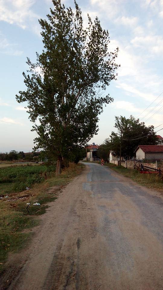 Pehlivanköy Doğanca Köyü Resimleri 10