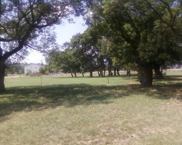 Pehlivanköy Doğanca Köyü Resimleri 11