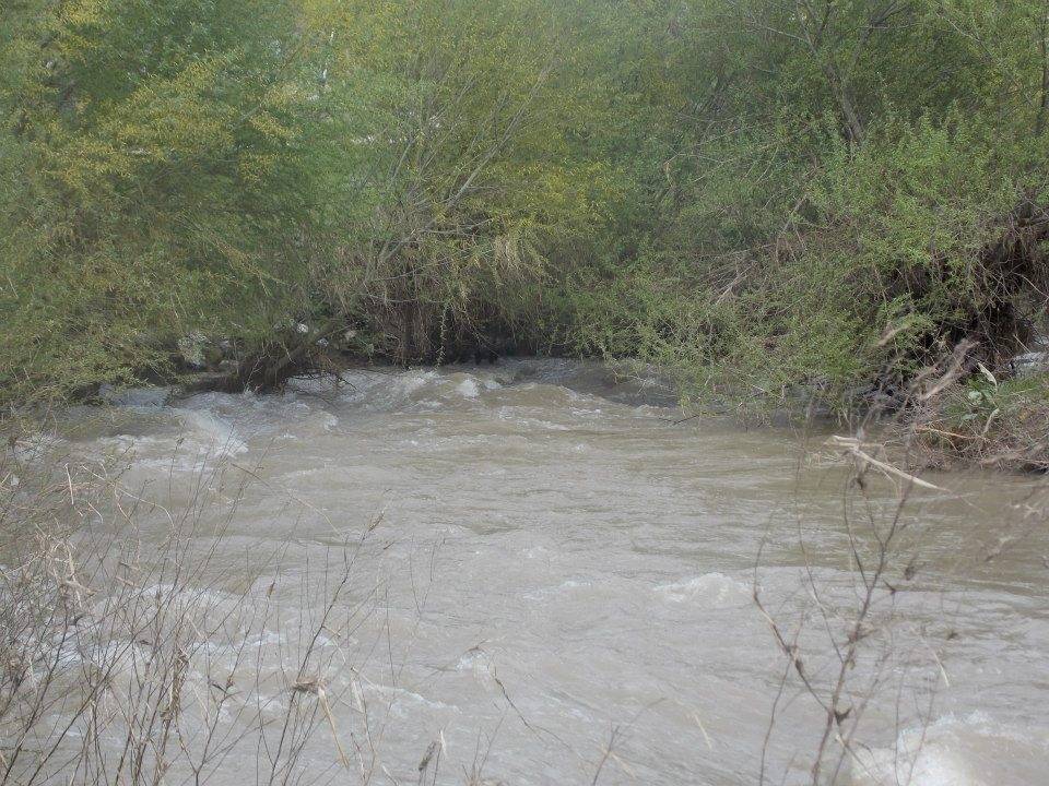 Pehlivanköy Yeşilpınar Köyü Resimleri 19