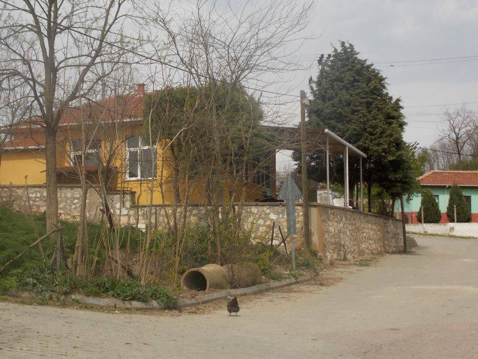 Pehlivanköy Yeşilpınar Köyü Resimleri 20