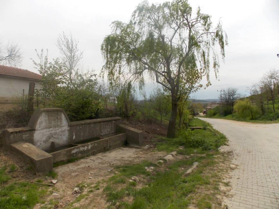 Pehlivanköy Yeşilpınar Köyü Resimleri 8