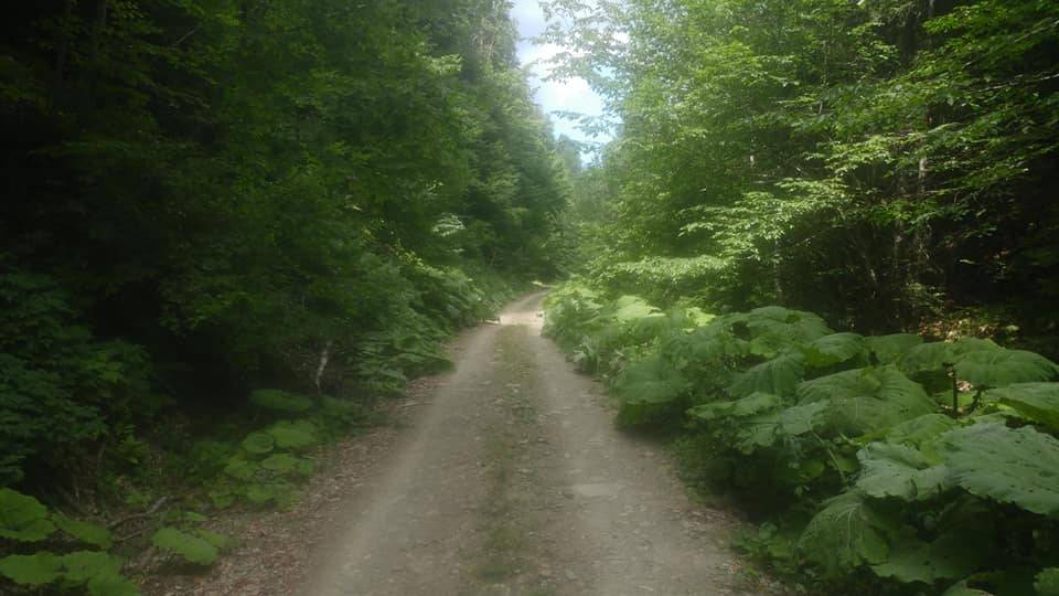 Ulus Isırganlı Köyü Resimleri 6