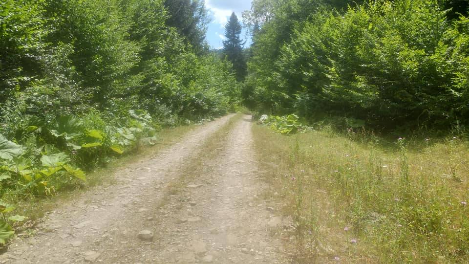 Ulus Isırganlı Köyü Resimleri 8